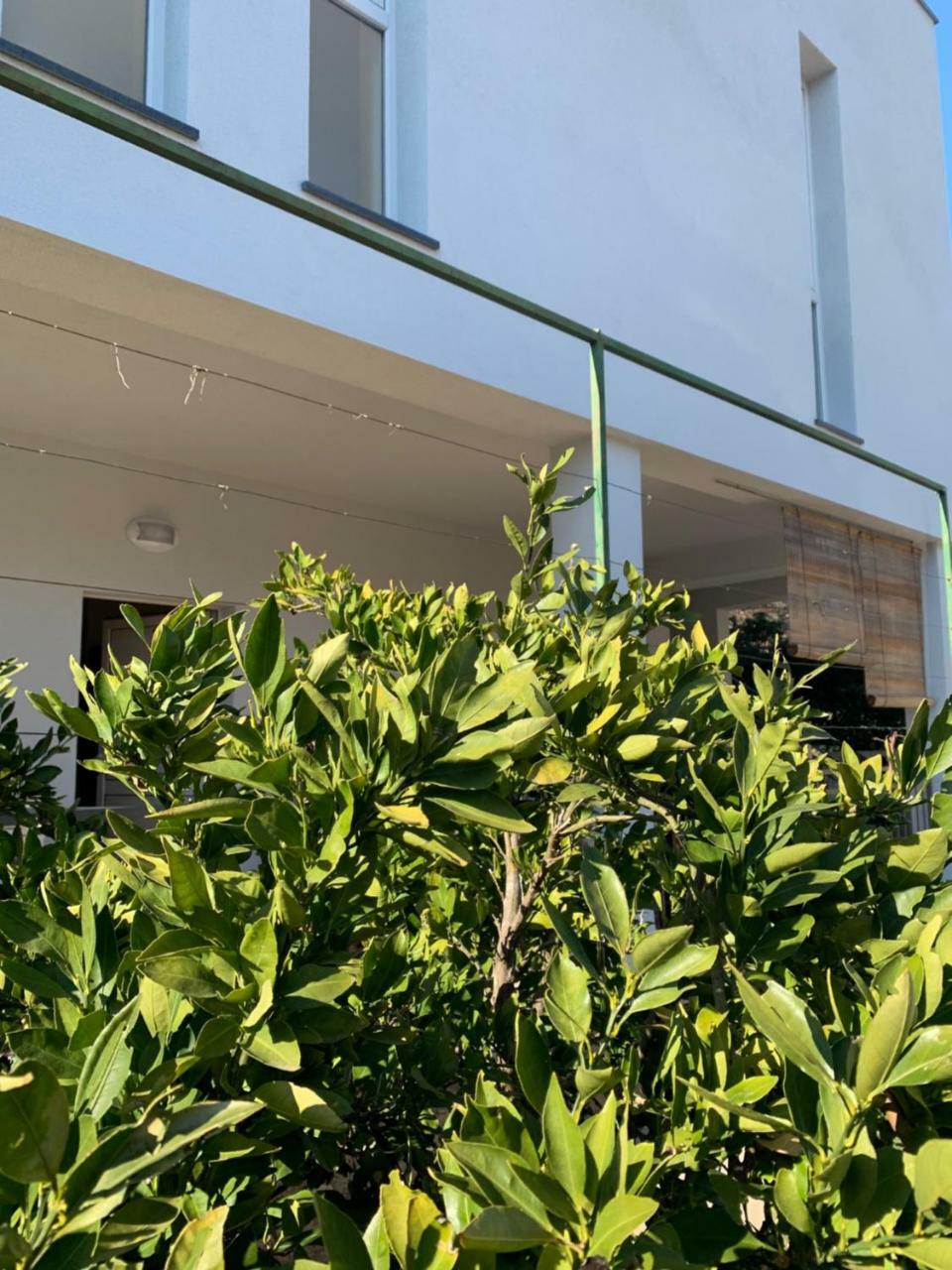 שיבניק Modern Apartments Day מראה חיצוני תמונה
